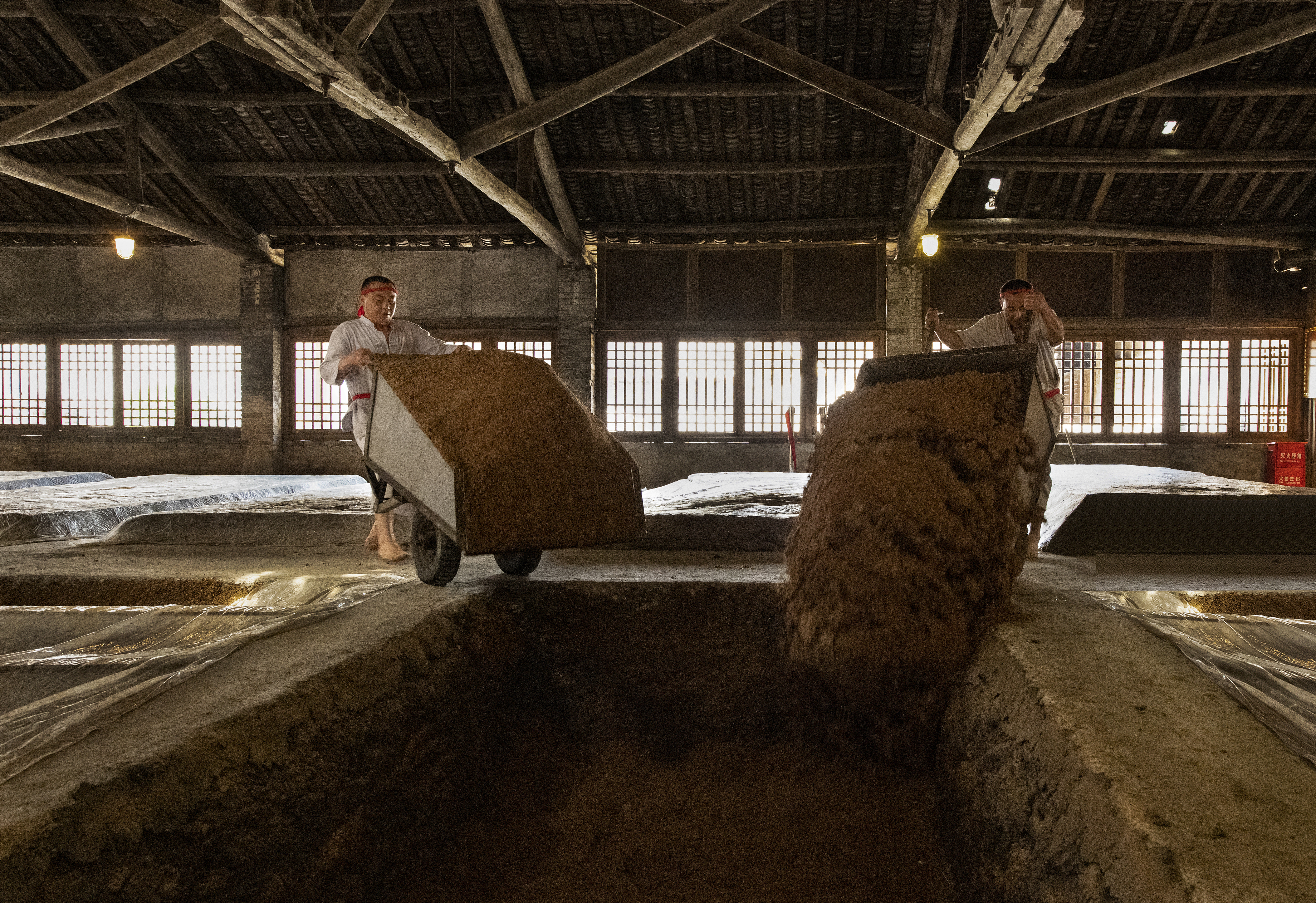 3f77445d-c389-4e4f-afa5-c50fd09ba17d 3f77445d-c389-4e4f-afa5-c50fd09ba17d